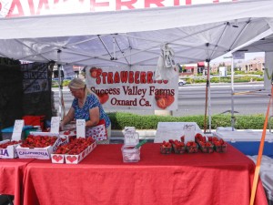 Strawberries from Success Valley Farms in Oxnard, CA