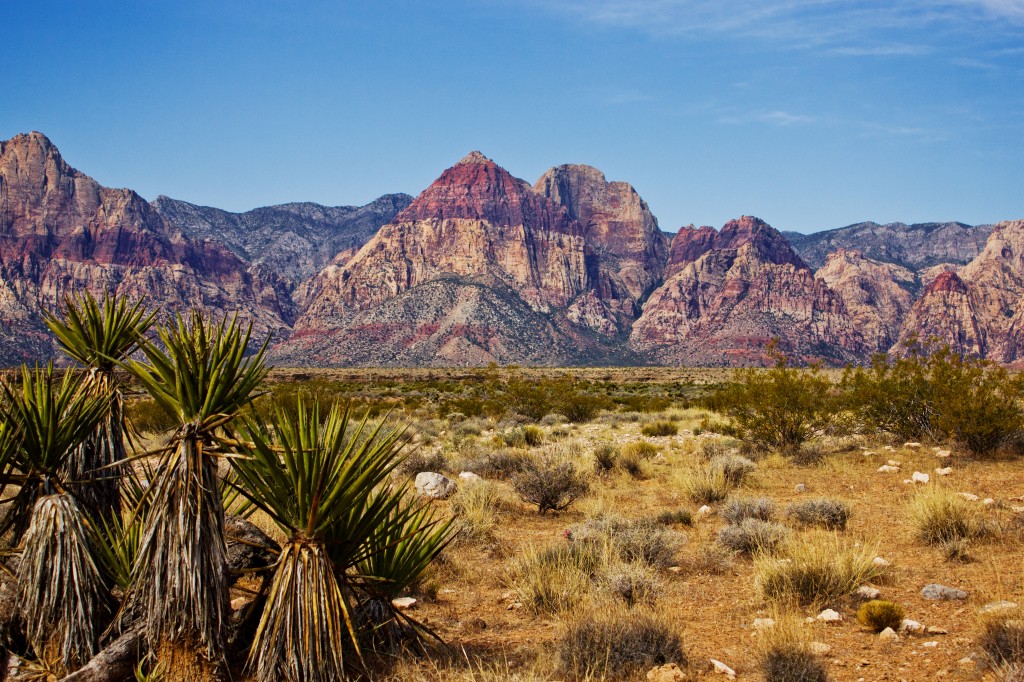 Red Rock Vista